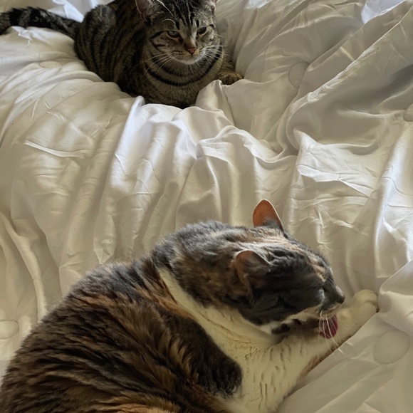 Meet your Posher, Nicole - Picture 5 of 9